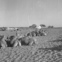 213ATN SMARA